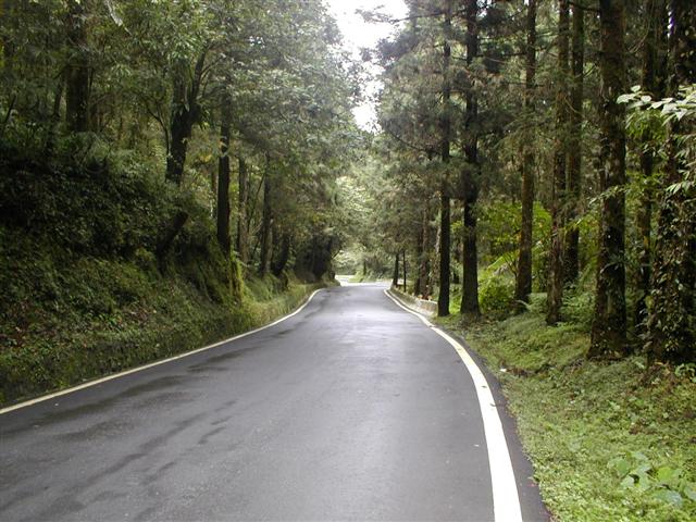 The Green Highway